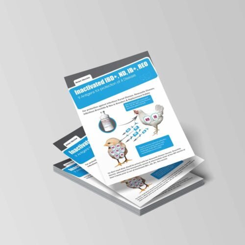 Inclinic LBL Design