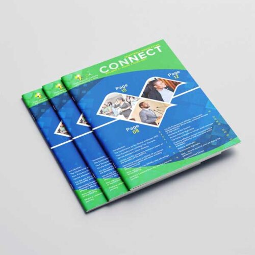 YALDA – Newsletter Vol. 3 Issue 2