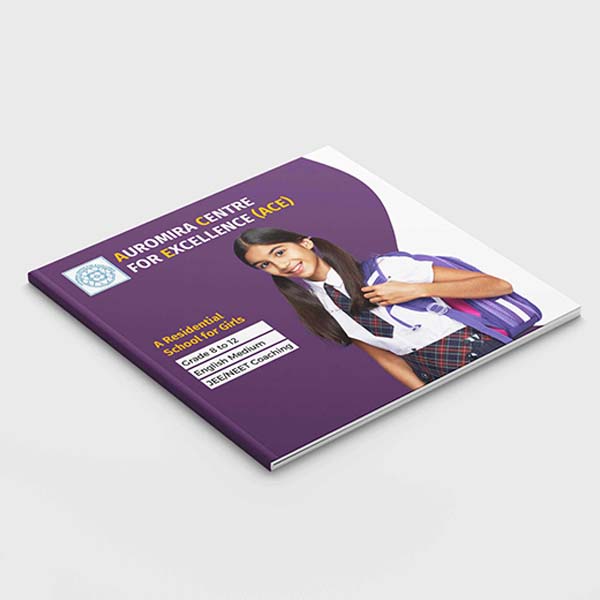 Anand Niketan Group of schools Brochure